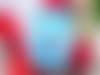 Recenzija: Ljubitelja knjig