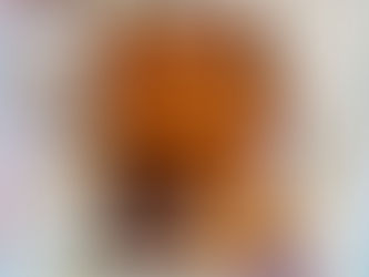 Recenzija: Visoška kronika