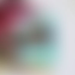 Recenzija: Kam si šla, Bernadette