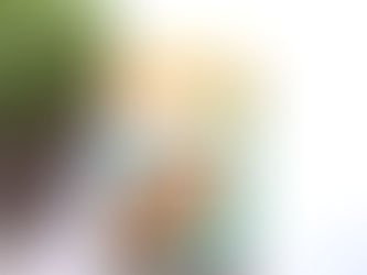 Recenzija: Pet prijateljev na otoku zakladov