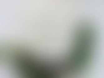 Recenzija: Dexterjeve mračne sanje