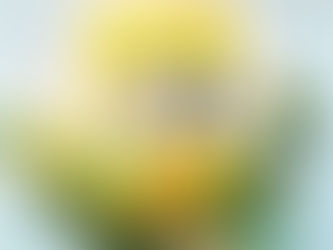 Recenzija: Dnevnik mladega naravoslovca