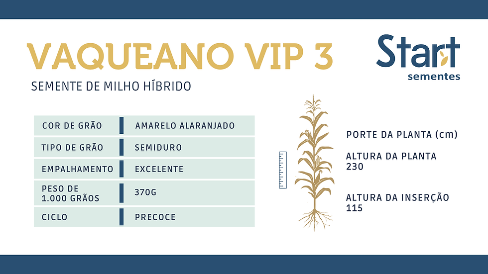 Miniatura: Vaqueano VIP3