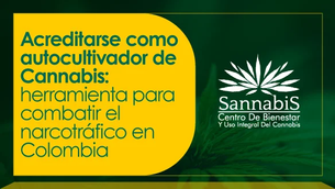Acreditarse como autocultivador de Cannabis: herramienta para combatir el narcotráfico en Colombia