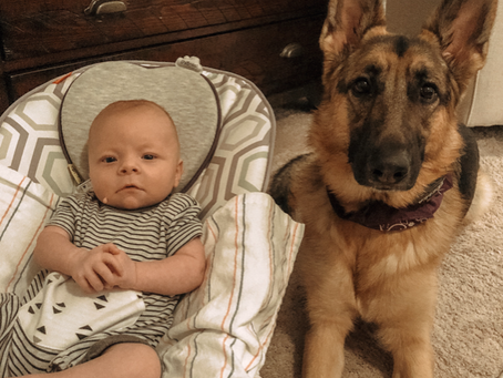 Exceptional Circumstances