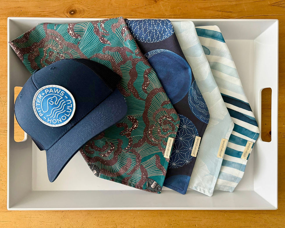 Thumbnail: Summer Blues classic tie-on dog bandanas, pitter+paws