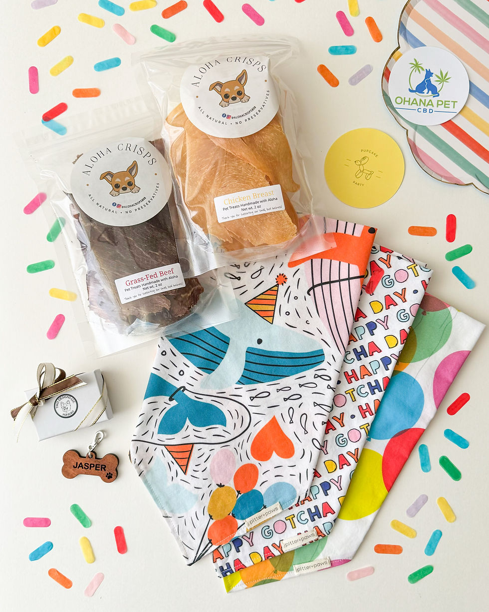 Thumbnail: It's Your Barkday collection of classic tie-on birthday dog bandanas