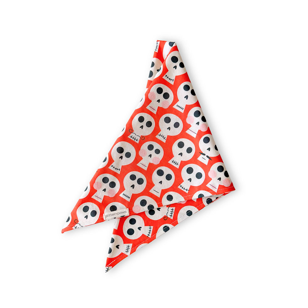 Halloween themed orange dog bandana with cute skulls