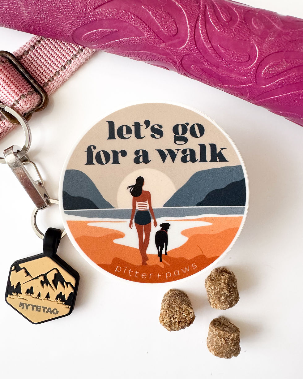 Thumbnail: lets go for a walk beach dog vinyl stickers for laptop, water bottle, and everything else!