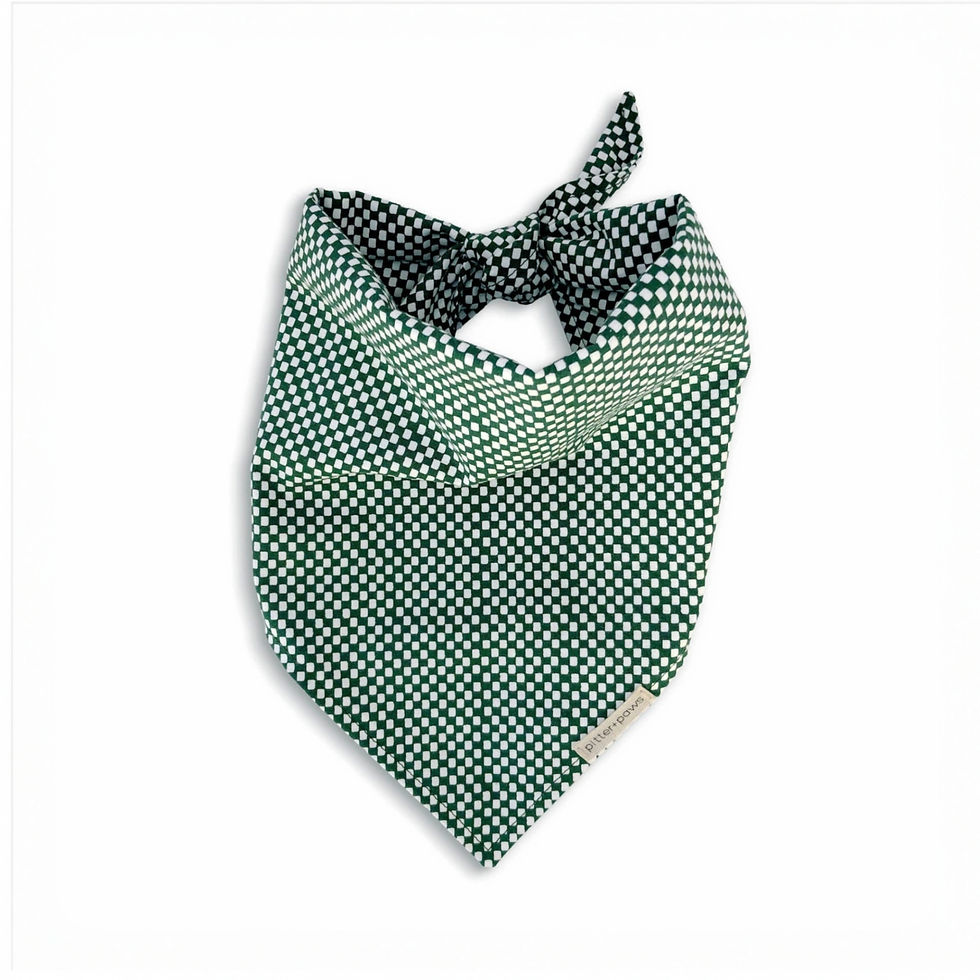 timeless dog bandana made with Amalfi fabric from Rifle Paper Co. for Cotton + Steel