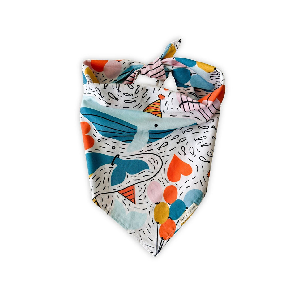 Kuapi‘o Koholā classic tie-on dog bandana adorned with playful humpback whales