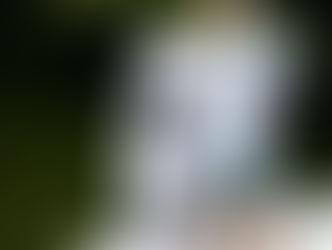 ホームページオープンしました！