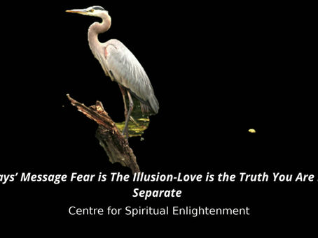 Todays’ Message Fear is The Illusion-Love is the Truth You Are Not Separate