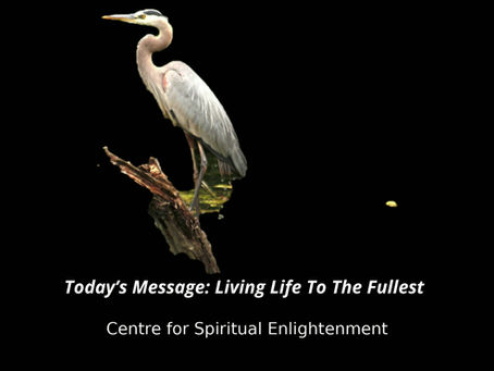 Today’s Message: Living Life To The Fullest