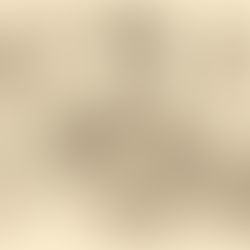 The Real Life of a Flight Attendant: Behind the Glamour, The Grit