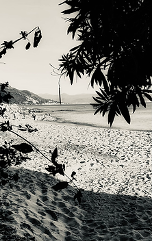 Corsica_créateurs corses