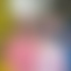 Ball Park Music I Concert Review