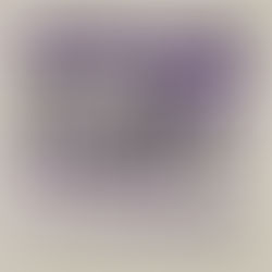 Garage Continuity: The Woggles Return With “Love Tick”