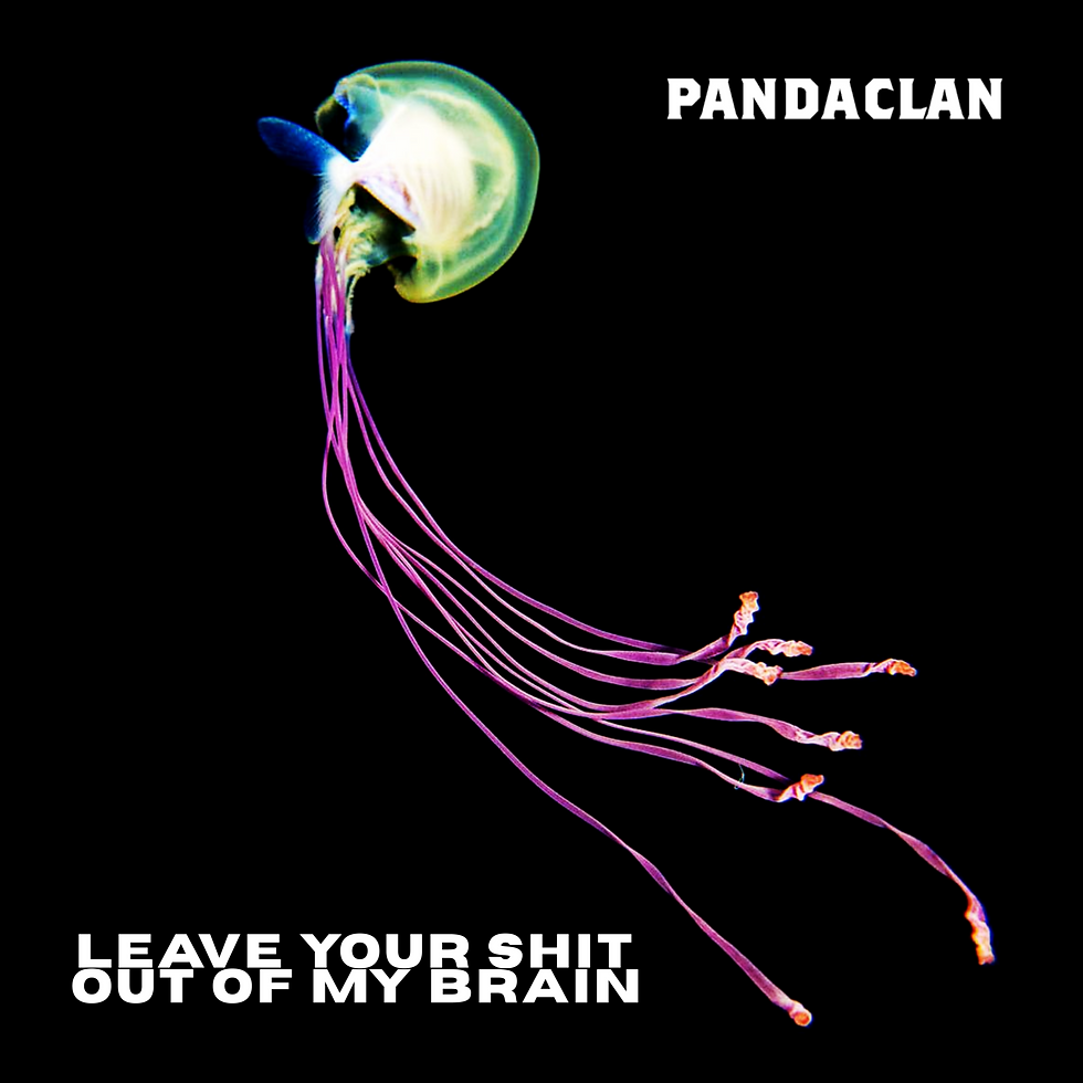 Album Art by Panda Clan