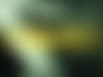 Allo.B – “Shadow Skin” | INDIENOXZINE Review