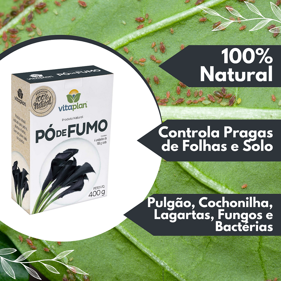 Miniatura: Pó De Fumo Inseticida Repelente Natural Kit 2 Und Nutriplant