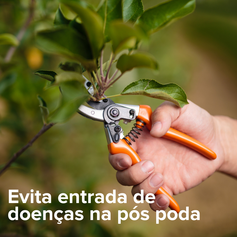 Miniatura: Fungicida Bactericida Cobre Concentrado 60ml HortaOnline.Shop
