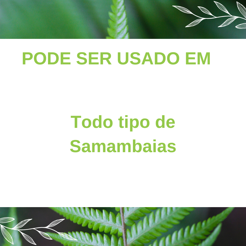 Miniatura: Samambaias Pronto Uso 500ml HortaOnline.Shop