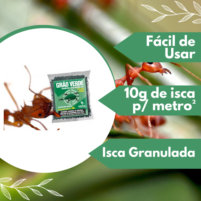 Miniatura: Grão Verde FS Isca Granulada 500g Dipil