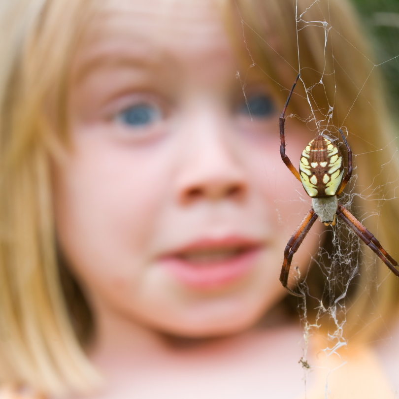 Miniatura: Lamthrine Garden 25gr Kit 3 Und Dipil