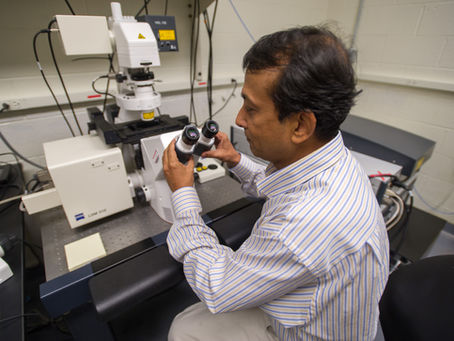 Borrelia Surface Protein Processed into Peptides for Microbial Persistence