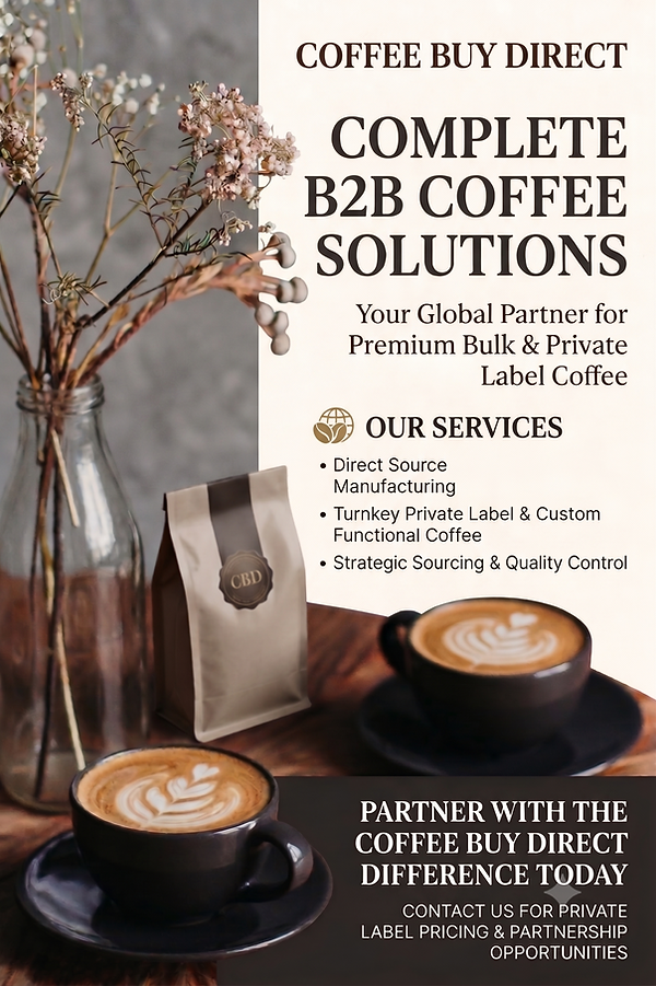 b2b solution.png