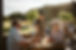 Dunedin Tours NZ, New Zealand Tours