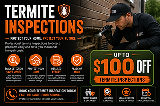 iwashwindows termite inspection.png