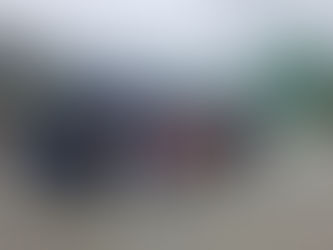 Visiting Dunedin From A Cruise Ship?