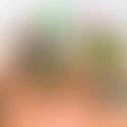 Eco-friendly confetti bar with dried petals and herbs. Higher Holcombe, Festival wedding venue. Exeter, Devon, UK