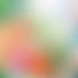 Bright pink and orange flowers in bridal bouquet