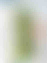 Lime green dress hanging up off a curtain rail. The curtains are pink and green floral and there are two pictures in wooden frames hanging on the wall next to it.