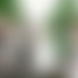 How to Capture the Perfect Confetti Photo on Your Wedding Day: Expert Tips for Stunning Shots