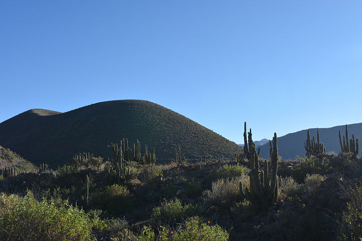 DSC_0628.JPG