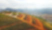 DJI_0003-02.jpeg