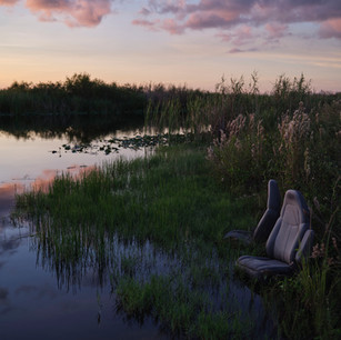 Front Row in The Everglades