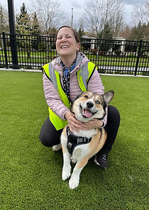 Walk My Dog Bothell professional dog walker taking a cute brown and white dog on a walk in greater Seattle