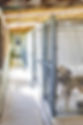 shady-spring-pet-retreat-carroll-county-maryland-dog-kennels.jpg