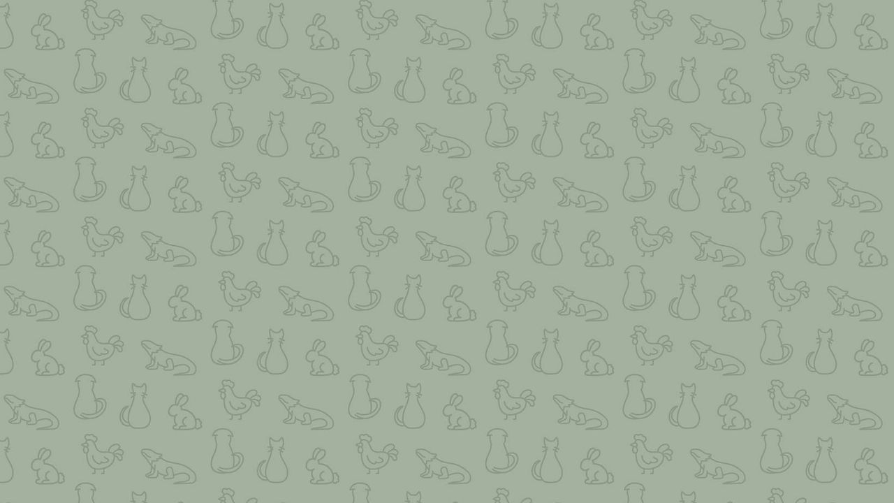eastbay_brandpattern_green.jpg