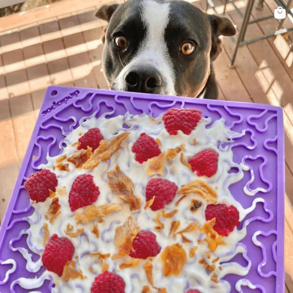 1-purple-bones-enrichment-lick-mat_6875e2d6-c404-4949-ba9b-62615bef6a03_600x600