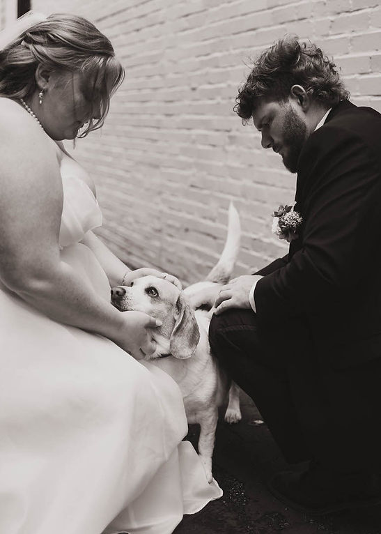 Elegant Paws-5.jpg