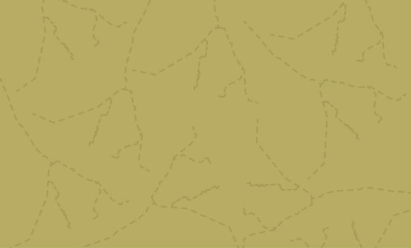 furamor_patterns_prairiepath_fern.jpg