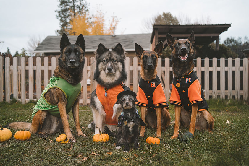 Halloween heathens-2.jpg