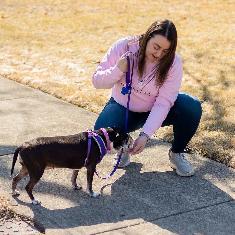 lauren with dog on dog walk in Elmhurst with The Pet Lady service