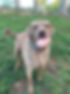 Bizzy.jpg